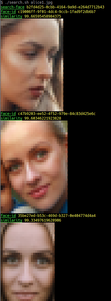 search.png